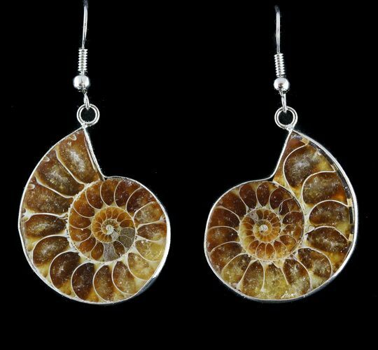 Fossil Ammonite Earrings - Million Years Old #48836